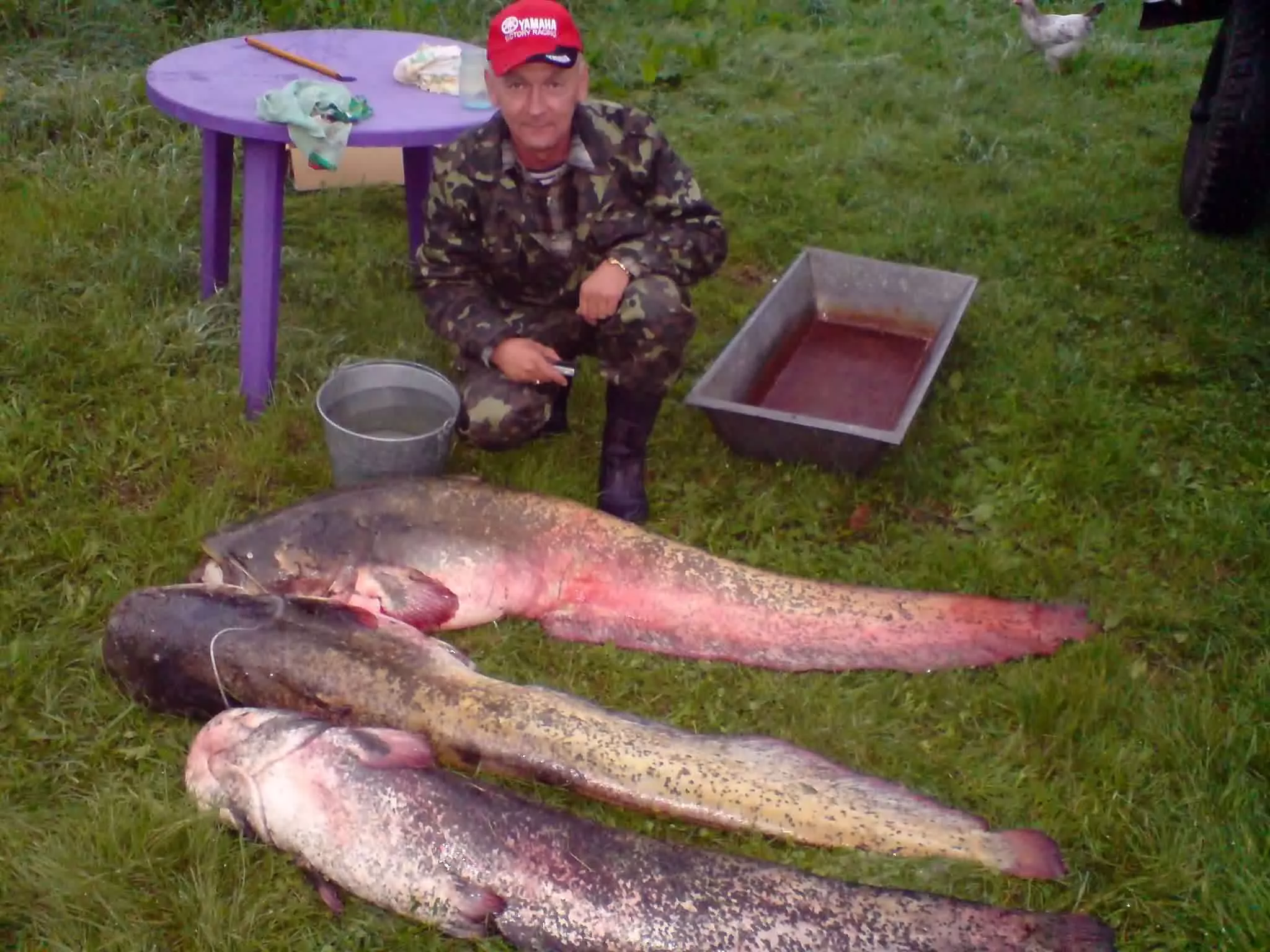 fishing
